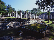 Group of 1000 Columns at Chichen Itza - chichen itza mayan ruins,chichen itza mayan temple,mayan temple pictures,mayan ruins photos